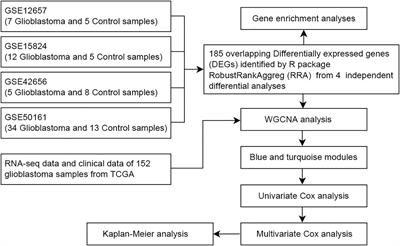 Integrated Analysis to Evaluate the Prognostic Value of Signature mRNAs in Glioblastoma Multiforme